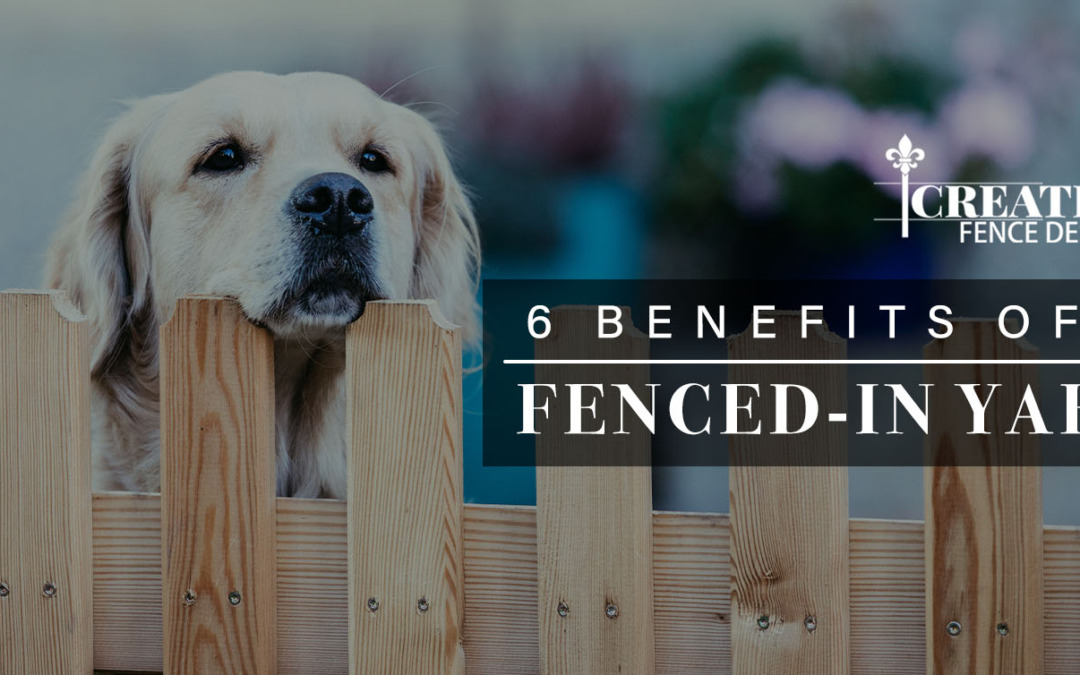 benefits of a fenced-in yard