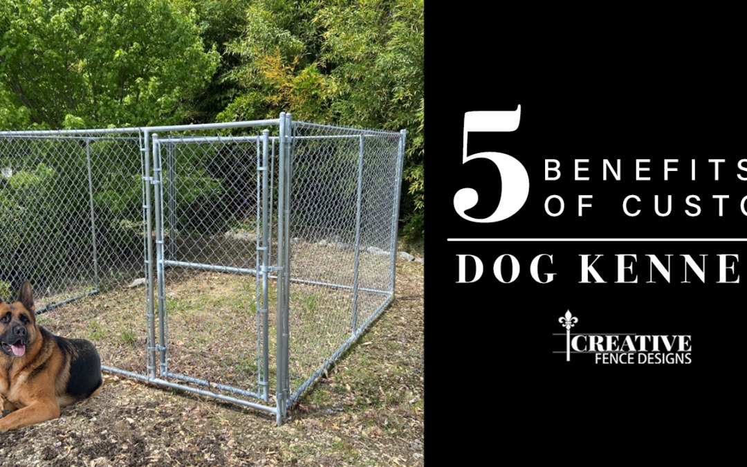 5 Benefits of Custom Dog Kennels